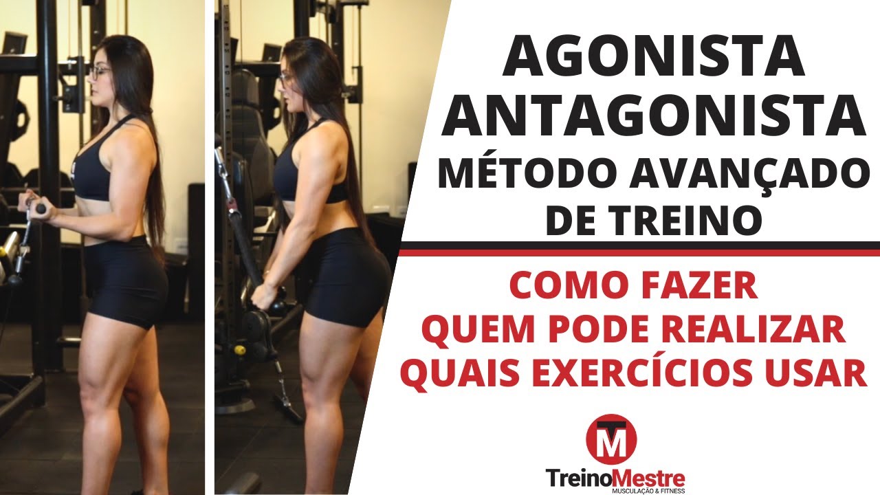 O Que é Agonista E Antagonista O Que é Agonista E Antagonista