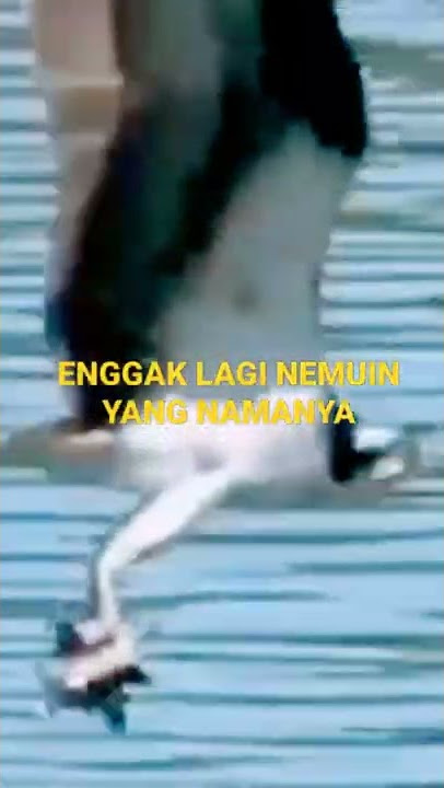 STORY WA TUKANG OJEK: DEWA 19 - ELANG