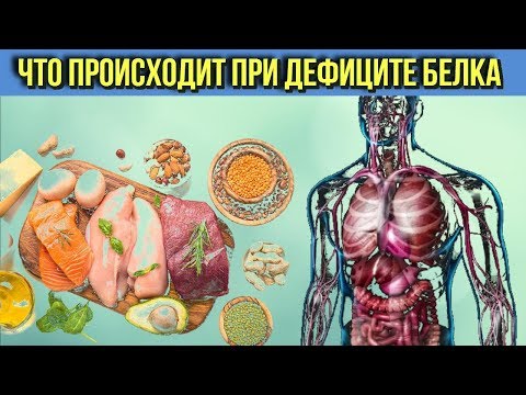 Вот Что может произойти с Организмом Человека при дефиците Белка