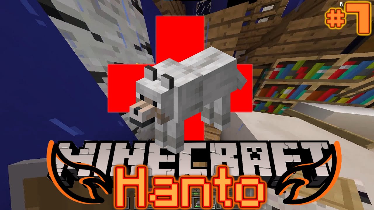 BELLO muss zum TIERARZT! - Minecraft Hanto | #7 - YouTube