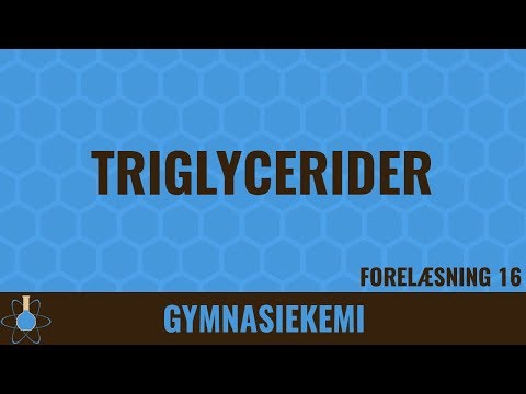 Triglycerider | Kemi C - 16
