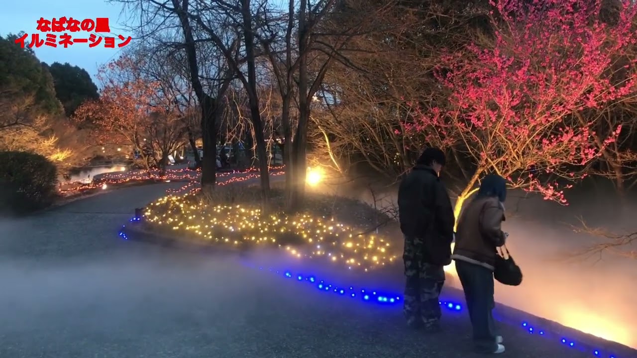 260224 なばなの里　イルミネーション