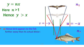 REFRACTION LIGHT AT CURVED SURFACES - BIRD AND FISH PROBLEM