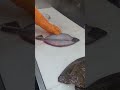 #Fluke #Fillet 🐠 ☘️ *How to fillet a Fluke at Fish Market *💥👍