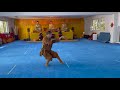 Shaolin kung fu  wu xing quan
