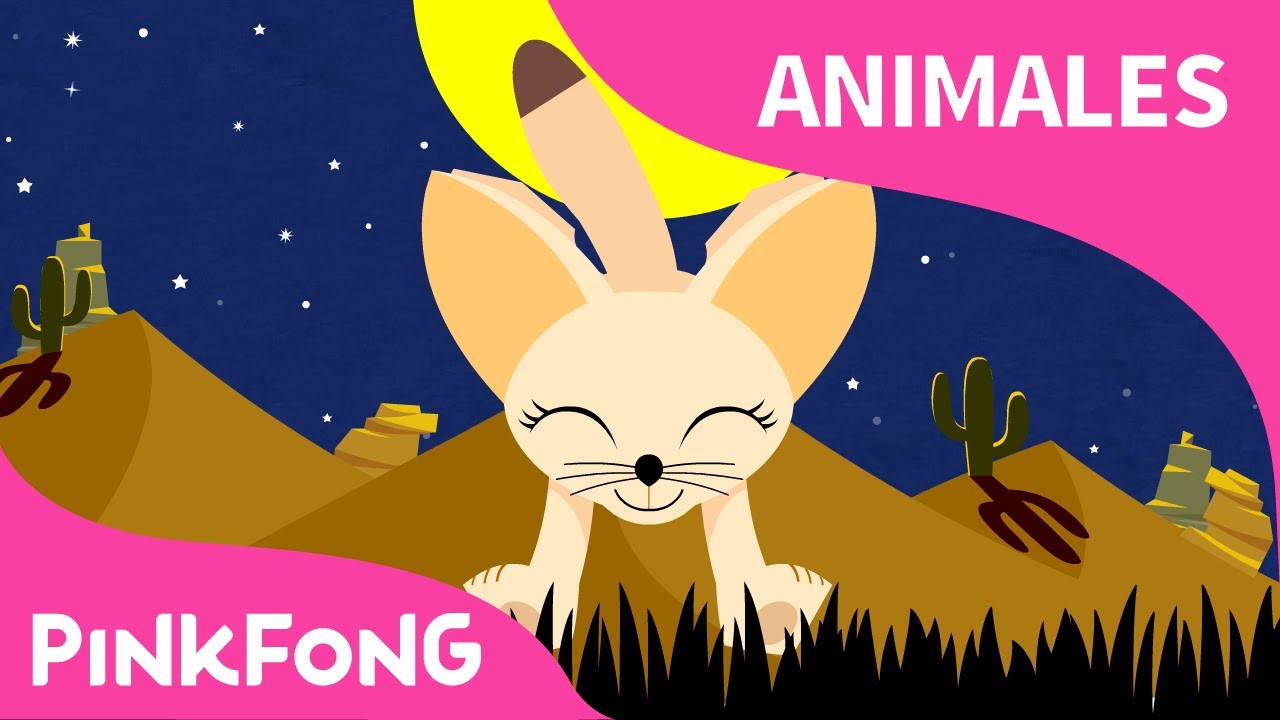 Zorro Del Desierto Zorro Feneco Animales Pinkfong Canciones Infantiles Youtube Zorro Del Desierto Zorro Feneco Animales Pinkfong Canciones Infantiles Youtube