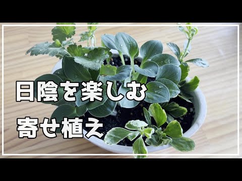HARU・channel - YouTube