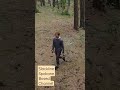 Slackline Spokane Based
