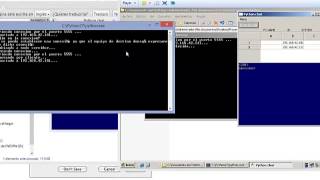 Python Chat (Simple Client-Server)
