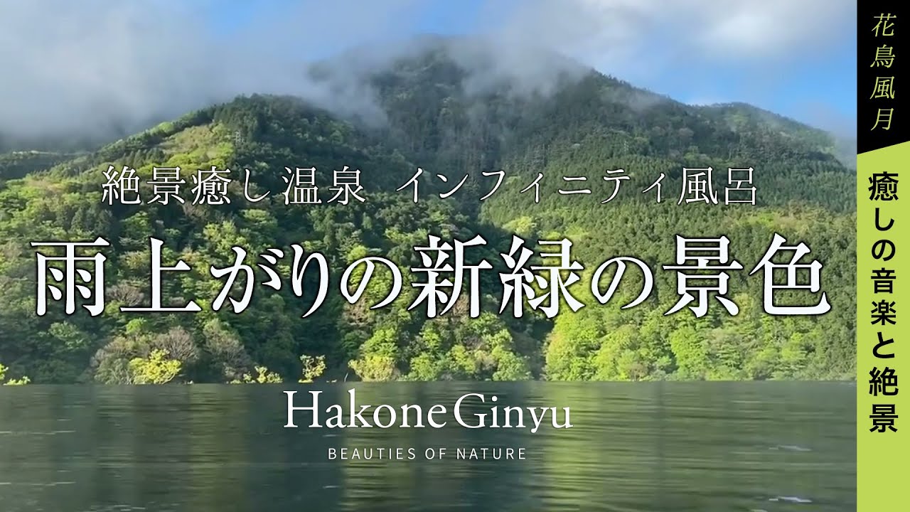 箱根吟遊 雨上がりの新緑の景色 インフィニティ風呂 絶景癒し温泉 Youtube 箱根吟遊 雨上がりの新緑の景色 インフィニティ風呂 絶景癒し温泉 Youtube