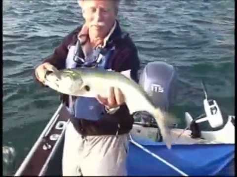 Mighty Bite As Seen On TV Fishing Lures Complete Basic Kit Bait and