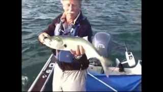 Mighty Bite As Seen On TV Fishing Lures Complete Basic Kit Bait and Lures