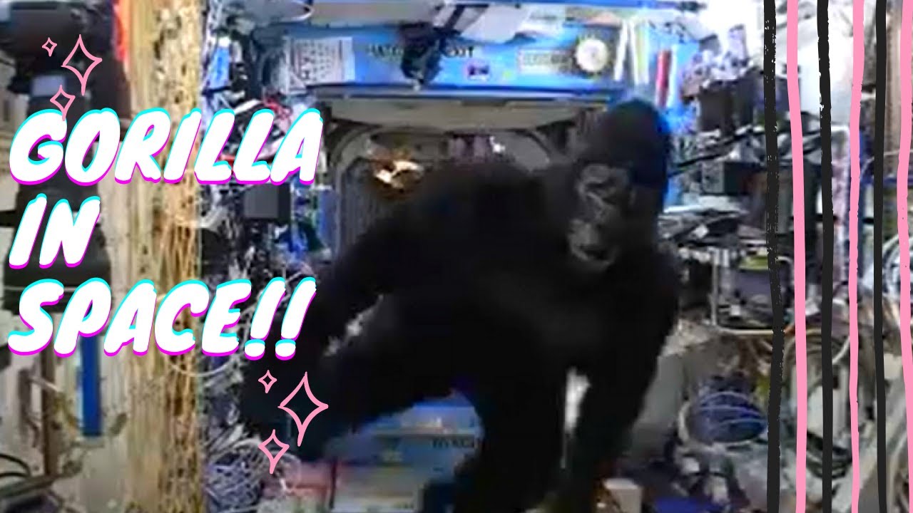This Astronaut smuggled a Gorilla suit into the ISSðµðµ, Watch What