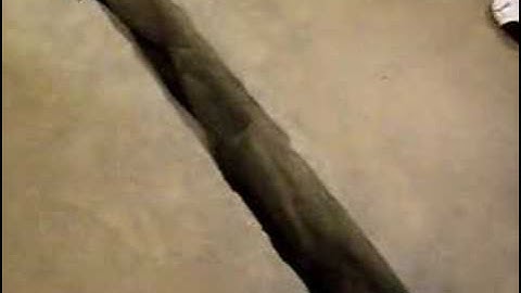 Doris Salcedo: Shibboleth