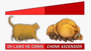 Golden Lootbug Chonk A S C E N S I O N