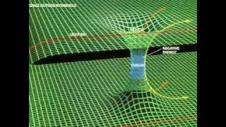 Sydney Forest - Road Not Taken