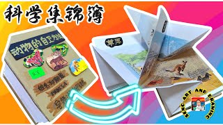 五年级科学集锦簿得奖作品｜动物的自卫方法 ｜最有创意的科学集锦簿 folio sains