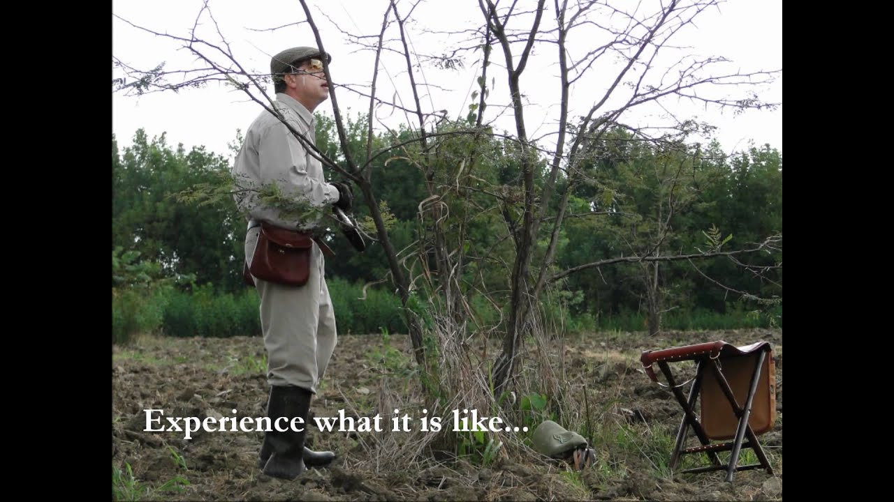 The Doves At Prairie Wildlife