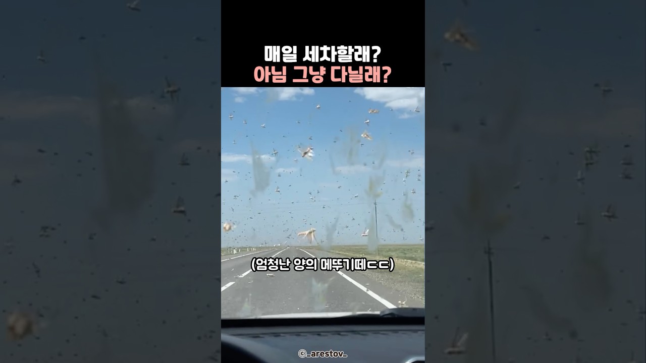 매일 세차하기 vs 그냥 다니기