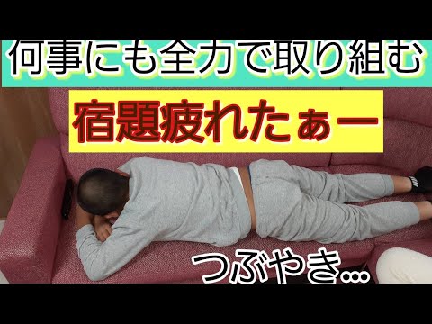 ゆーくんつぶやき止まらない‼