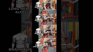 Spider Curl Variations for Bigger Biceps | Complete Biceps Workout 💪🕷️ #Shorts