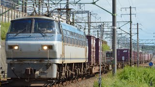遅1097レ EF66 131牽引 草薙〜静岡貨物通過