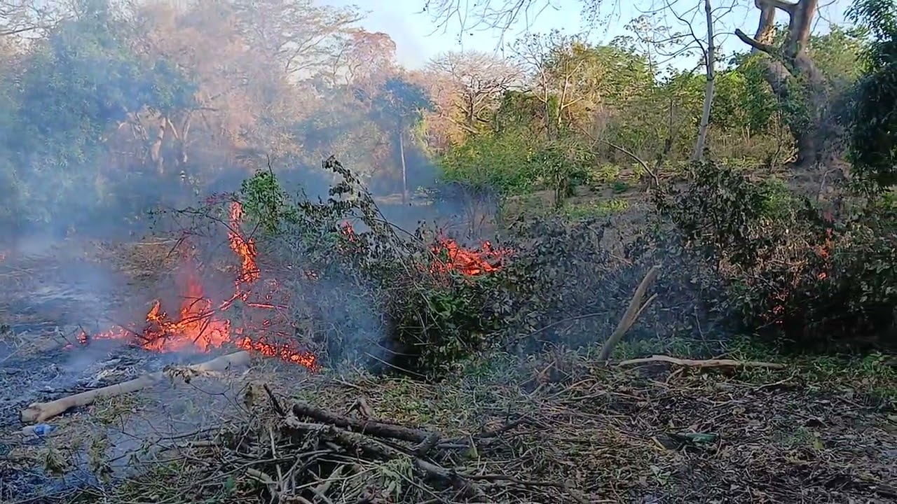Limpiando propiedad a un suscriptor !! 