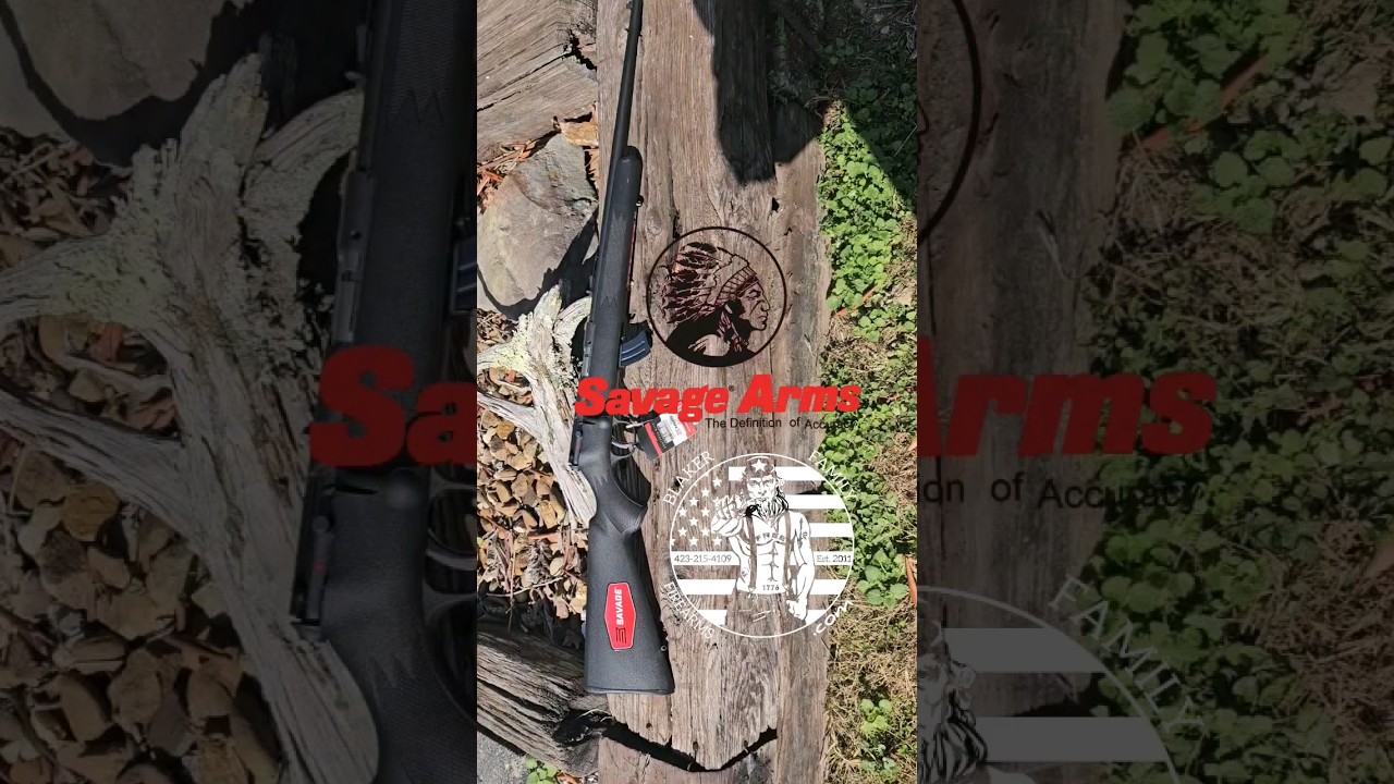 Everyone Needs a Savage Mark II F Bolt-Action Rimfire .22 Long Rifle 