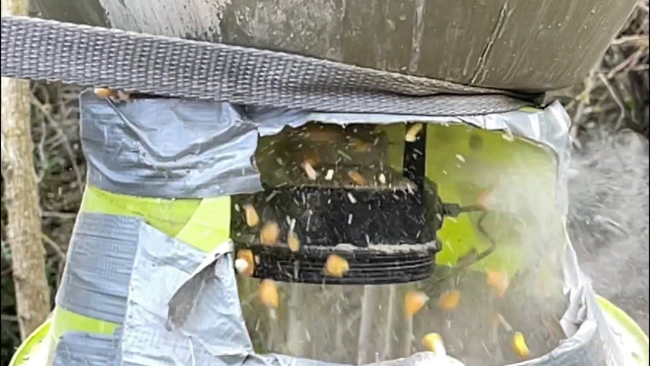 Jabali. Cebadero. Maiz. Dispensador Moultrie all in one. Funcionando con maiz. Asusta-jabalies 🐗