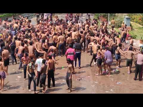 Holi Celebration India 2019 Zanskar Hostel Iit Delhi