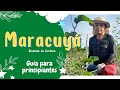 Cultivo de Maracuyá - Passion fruit AgroExport Cap 1