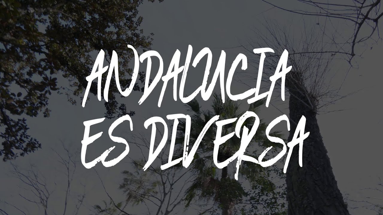 Personas migrantes LGBTI: diversidad en Andalucía (Andalucia es Diversa 2020x06)