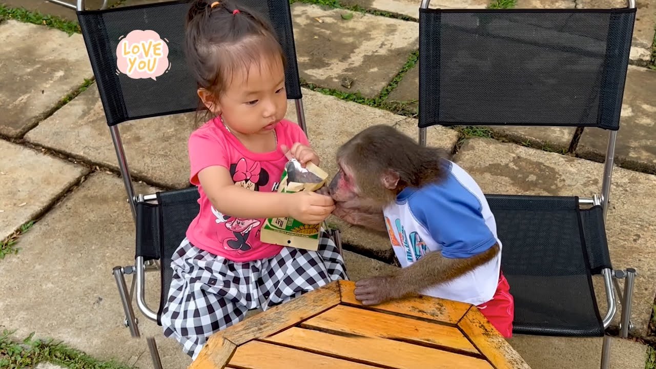 YoYo JR takes Ai Tran to coffee shop