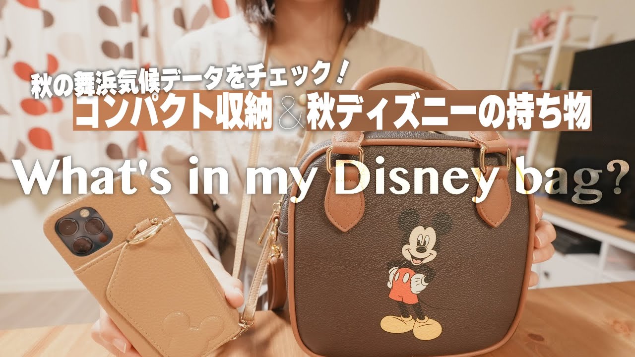 What S In My Bag 秋ディズニーの持ち物 最小限 コンパクトにまとめる Youtube