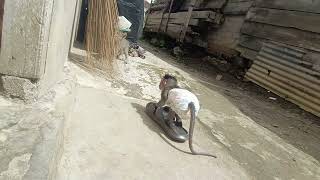 Omg Baby Monkey Mocci Still Alone, No Friend To Playing Together