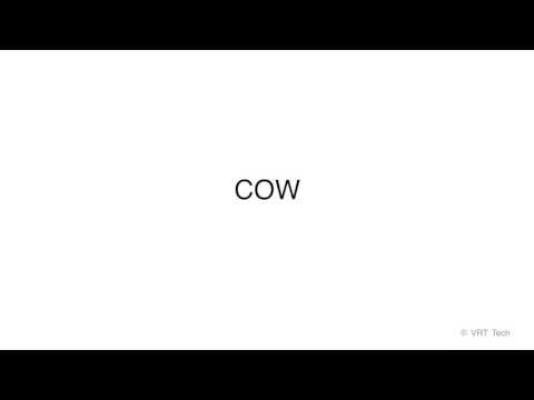 Plain Background X1 Viewing Paradigm 60 bpm