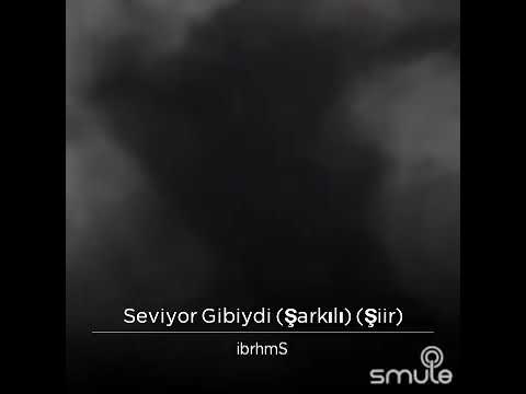 Seviyor gibiydi