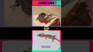 Suara kadal atau cicak #kuisiq #logicgames #gamekuis #hewan #kuistekateki #animals #2d #shorts