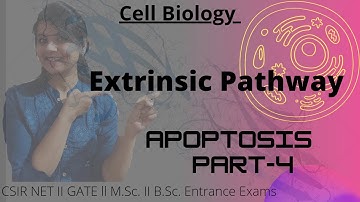 Extrinsic Pathway Of Apoptosis I Part- 4 #csirnet #apoptosis s #gatelifesciences
