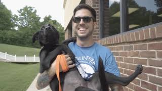 Journeys + Real Friends | Nashville Humane Association