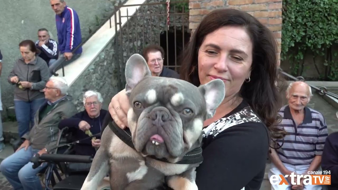 EVENTI SGURGOLA 2024 - CENA DEI 1000 E FESTA DELL'UVA