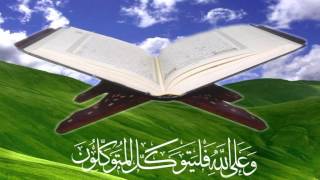 019 Surah Al-Mariam Full with Hindi Translation screenshot 5