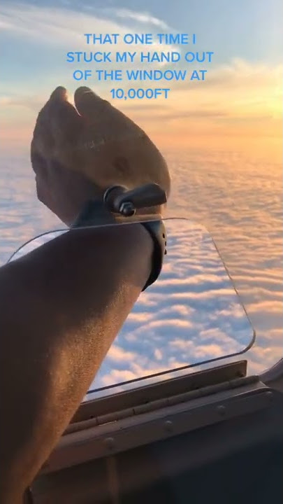 Pilot open window at 10000 feet up when flying and stuck hand | Pilot fly flight | #shorts