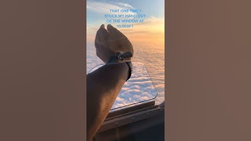 Thumbnail of Pilot open window at 10000 feet up when flying and stuck hand | Pilot fly flight | #shorts