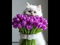 С добрым утром!❤️