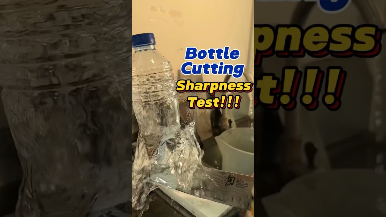 SHARPAL 162N Diamond Sharpening Stone! 