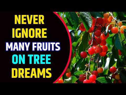 Seeing Many Fruits on The Tree in Dream Meaning | Many Fruits on Tree Dream Interpretation