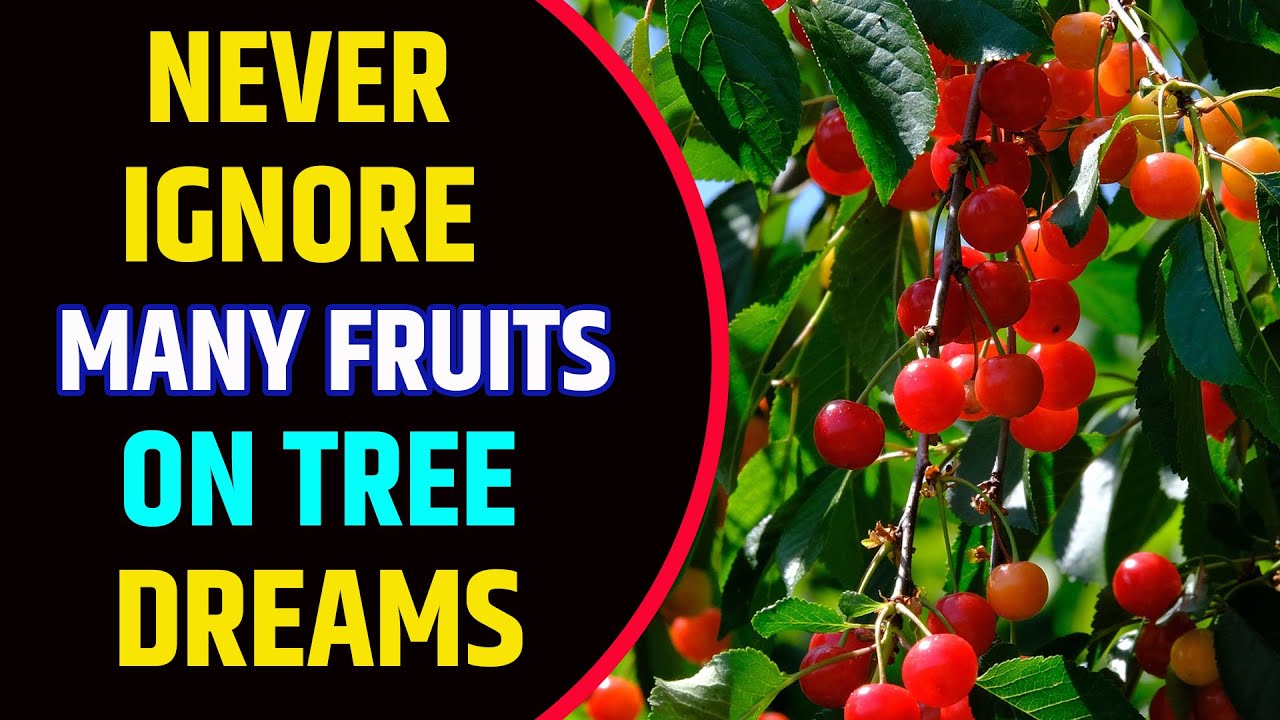Seeing Many Fruits on Tree in Dream Meaning | Many Fruits on Tree Dream Interpretation
