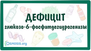 Дефицит глюкозо-6-фосфатдегидрогеназы (Г6ФД) - причины, симптомы, патогенез, диагностика, лечение