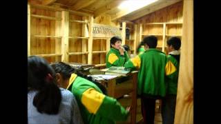 Biblioteca comunitaria de Punucapa